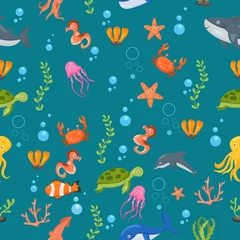 Photo sur Plexiglas Vie marine Motif de poissons et d& 39 animaux marins sauvages. Fond transparent avec des poissons marins mignons, des personnages de requins souriants et un fond d& 39 écran nautique vectoriel du monde sous-marin de la mer