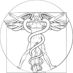 Caduceus medical symbol Vitruvian man concept with figure like Leonard Da Vinci anatomy drawing