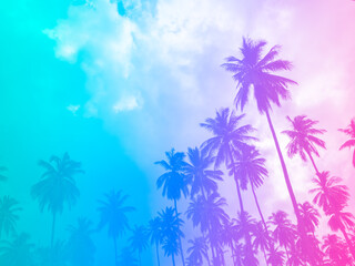 Fototapeta na wymiar Coconut palm trees on summer colorful sky, beautiful tropical background with space, bottom view. Gradient colors with light blue, purple and pink.