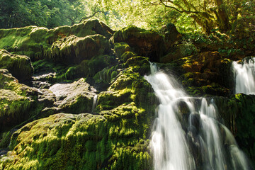 waterfall in the forest