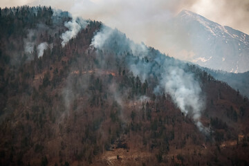 Forest wildfire in mountains a natural disaster
