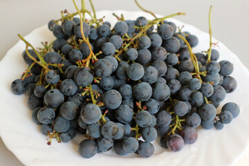 Organic black grapes on white plate