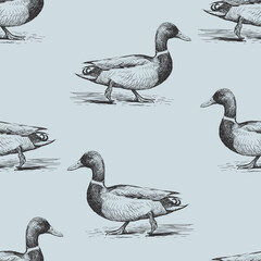 Seamless pattern of sketches walking wild ducks