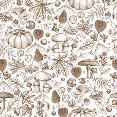Seamless vector pattern autumn in engraving style. Oak leaf, acorns, berries, maple leaves, ginkgo, mushrooms, chestnut, physalis, wild rose, mountain ash, pumpkin