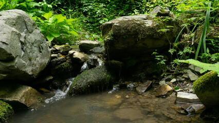 Water surrounded by large granite stones. Wildlife of Sochi, forest and forest reservoir.