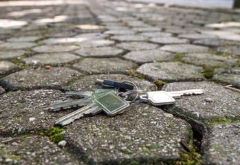 Bunch of home keys lying lost on paving blocks path
