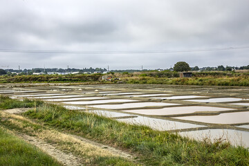 Guerande salt marshes. Salterns of Guerande - swamp of salt water about 1 700 hectares in size. Guerande - medieval town in department of Loire-Atlantique in Pays de la Loire in western France.