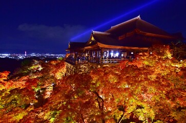 秋の京都 　清水寺ライトアップ