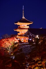 秋の京都 　清水寺ライトアップ