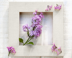 A branch of lilac in light frame on white wooden table 