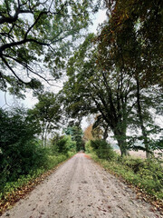 Countryside road during autumn