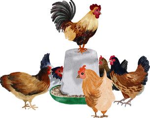 Poultry farming, Watercolor farm animals with transparent background