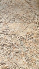 texture of the wood , background 