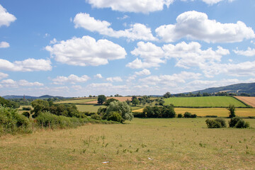 Summertime meadows in the UK.
