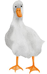 Poultry farming, Watercolor farm animals with transparent background