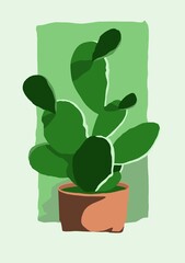 Prickly pear cactus. Home plant in a pot.