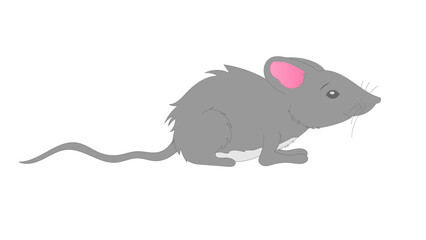 grey mouse cartoon
