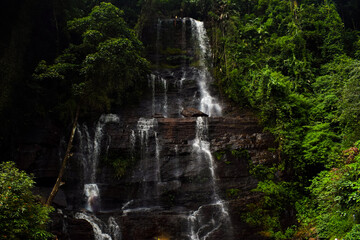 Beautiful Waterfalls and greenery. Relaxing nature background.
