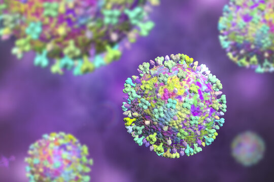Langya virus, 3D illustration