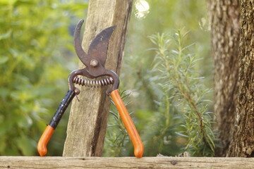 Pruning shears 