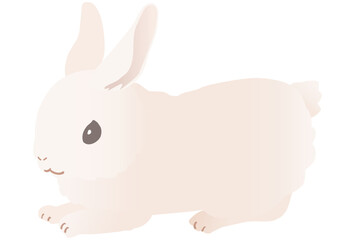 Fototapeta na wymiar かわいい白いウサギのベクターイラストカット 座る、ジャンプなどバリエーションあり