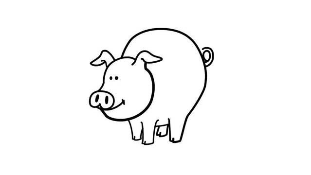 cute pig Sketch and 2d animation