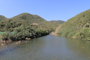 a river mouth of Sheung Luk Stream, hk - obrazy, fototapety, plakaty