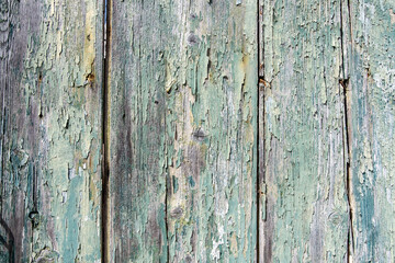Wood for background, texture. Wooden blue empty peeled shabby board planks for backdrop. Copy space