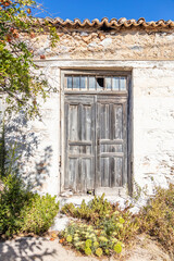 Abandoned house, wooden aged closed door with broken glass on top, dry plants outdoors. Vertical
