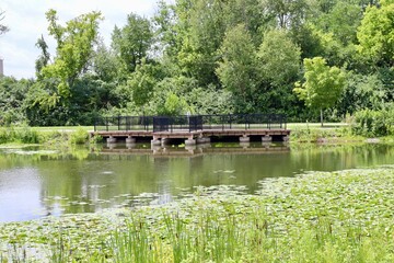The fishing dock at the pond on a sunny day.