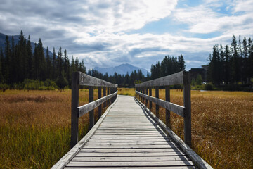 Fototapeta premium wooden bridge in the mountains