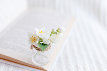 Close-up of a bouquet of white flowers in a blurred glass vase on an open book on a white knitted background. Slow life concept.	