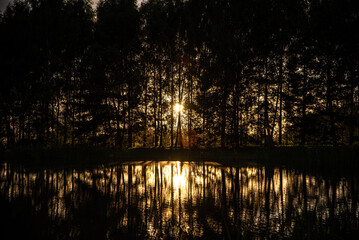 Sunset or sunrise visible through the trees on a side of a lake