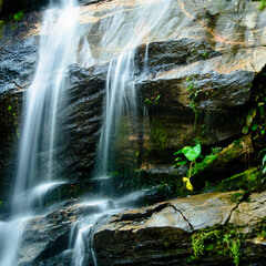 Small waterfall with a green leaf at the Floresta da Tijuca, Rio de Janeiro, State of Rio de Janeiro, Brazil.