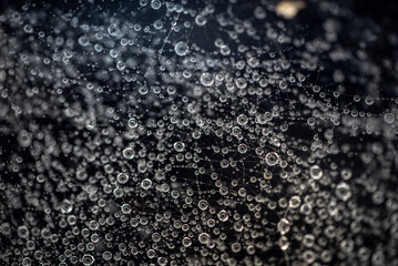 Water drops, droplets stuck on a cobweb after rain