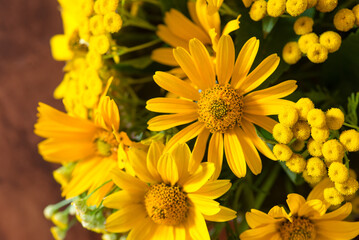 Bouquet of bright different yellow flowers on a table