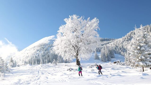 two girls in snowshoes and backpacks go hiking in the snow in winter.