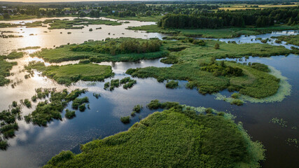 Aerial view of swamp in easter europe in summer hot day