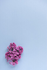 Beautiful flower arrangement. Lilac flowers, free space for text on a light pastel background. Wedding, birthday. Valentine's day, mother's day. copy space