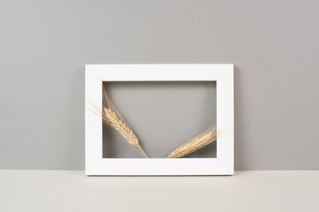 Wheat crop in a frame, copy space for text, food shortage crises and increased prices, golden straw
