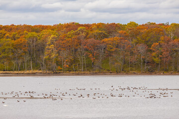美しい北海道の秋の景色