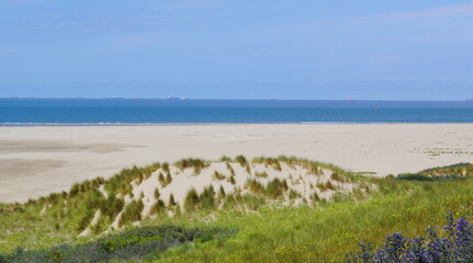 Eine tolle Düne am Strand in Maasvlakte in Holland