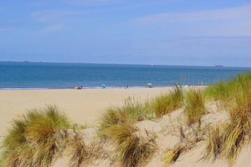 A beach and dunes at the northsey in the Netherlans