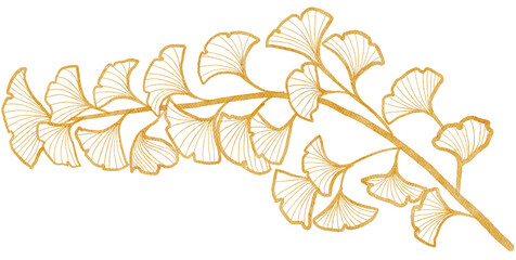 Ginkgo biloba watercolor with transparent background