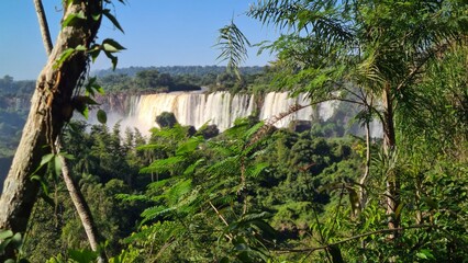 view of the Iguazu falls 