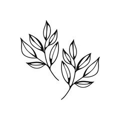 vector illustration of two leaves concept