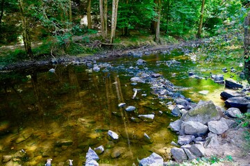 vallée du cousin yonne rivière