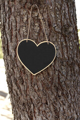 heart-shaped slate sign hanging from a tree