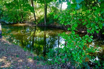 rivière l'arroux la rigole  saône et loire
