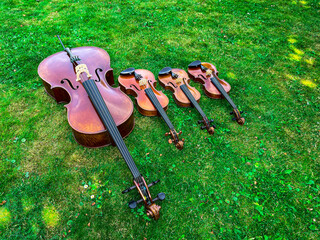 String quartet in the park on a sunny day. Cello, viola and two violins.